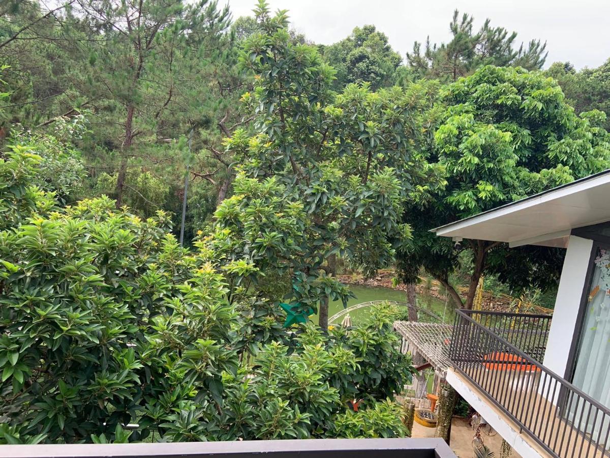 View * Pleiku